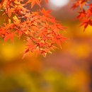 광교중앙로248번길 이미지