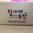순수한뻥튀기