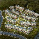 강남-175 이미지