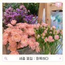 화목하다 | 세종 다정동 꽃집 추천: 화목하다에서 결혼기념일 호접란 준비 후기