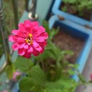 하장초등학교 이미지