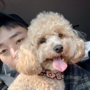 김호두 이미지