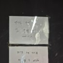안쪽쪽갈비