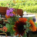 해바라기농장 이미지