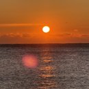 더혼 산하도장 이미지