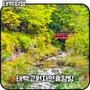 태백고원자연휴양림 | 태백가볼만한곳 태백고원자연휴양림 산림휴양관 국립자연휴양림 숲나들e 예약방법 솔직후기