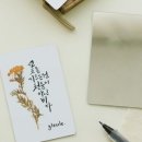 아트샵