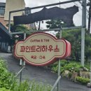파인트리 Daum카페