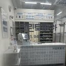 크린토피아동패초롱꽃 이미지