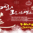 ﻿성탄 유감 이미지