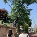 금광초등학교 정문 이미지