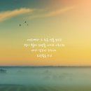 채은병 이미지
