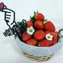 이진호 농장 이미지