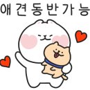 용문 애견 이미지