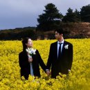 고내상 성지 | 나들이ㅣ03. 제주도 ㅣ셀프 웨딩스냅 촬영 후기&amp;꿀팁