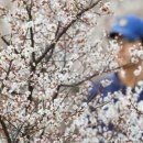 아맛나찜닭 이미지