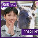 2월26일 톡파원 25시 101회 예고편 + 미리보기 이미지