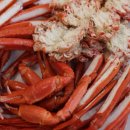 바다수산 이미지