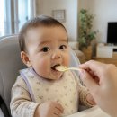 (주)브라이트스푼 | [육아 로드맵] 4~12개월 영아기 발달 특징 총정리! 월령별 발달 지표와 필수 육아템 가이드 (초기...