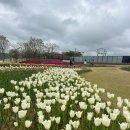 그린아일랜드 야외도서관 이미지