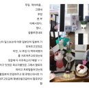영아태권도 | 너의 꾸밈없음과 꿈많음을 사랑해