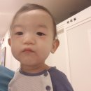 영월메디칼약국 이미지