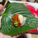 회마니 이미지