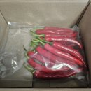 빨간고추 | [칠갑마루 빨간풋고추] 청양고추구기자축제에서도 만나는 건강한 매운맛:)