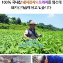 목청식품 이미지