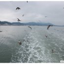 최*복 - 해남군 평호길 222-33 | 최*복