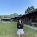 연한 초록잎들이 예뻤던 5월의 일상 기록 🌱