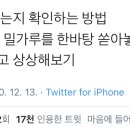 콩깍지 이미지
