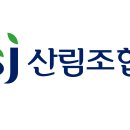 산림조합 이미지