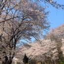 꽃빛공원 화장실 이미지