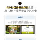 올팩 이미지