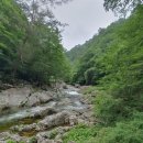 오늘은 헬스 이미지