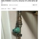 도시가스 안 쓰는데 고무관 이거 잘라도 됨? 이미지