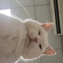 수지구청대회의실 5층_R | 잘먹고 잘놀고 잘마신 여름을 보내주며 - 7,8월 기록