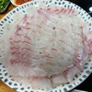 손선생회 이미지