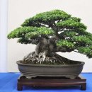 중화고등학교 이미지