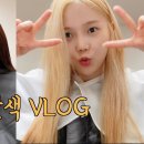 [쩡's VLOG]인생 첫 금발도전!!💛 탈색 브이로그(feat. 오마이걸 컴백) 이미지