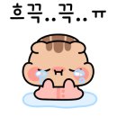 울릉에가면