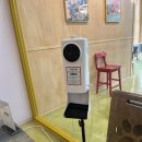 Angelinus Cattery | 제주공항 근처 고양이 카페 [캣갤러리] 사랑스러운 브숏, 렉돌들💗