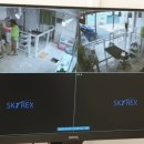 딜라잇독 이미지