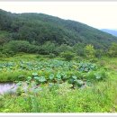 정화목장 이미지