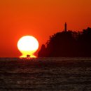 일출상사 이미지