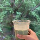 룸서비스301