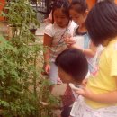 상천초교 이미지