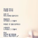 시글 이미지