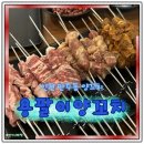 구월말로 | 인천 만수동 맛집 용팔이양꼬치 모듬꼬치 후기